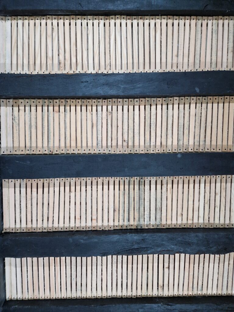 Traditional Lime Plastering. On wooden laths